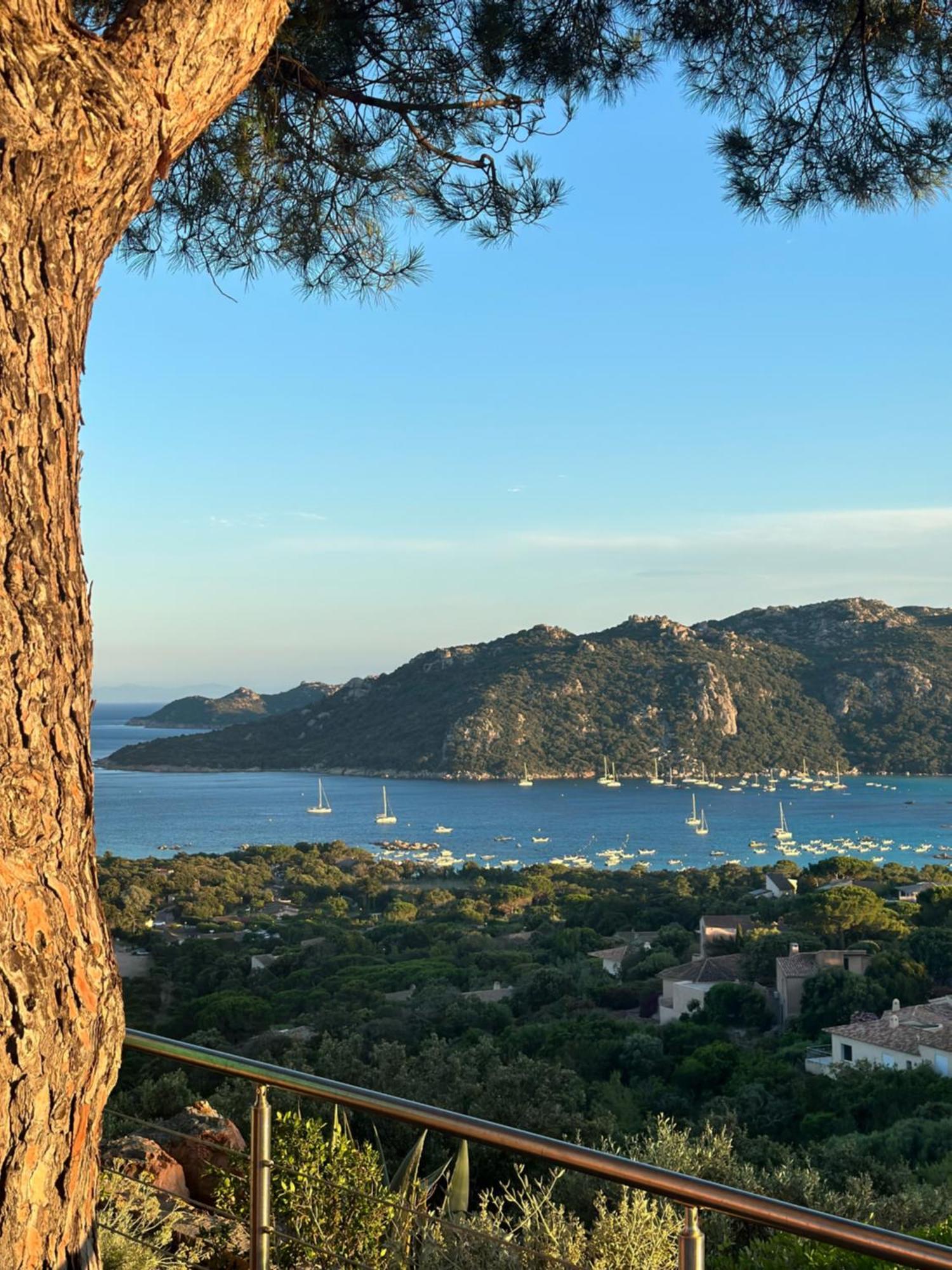 Appartement Marina Di Santa Giulia Porto-Vecchio  Eksteriør billede