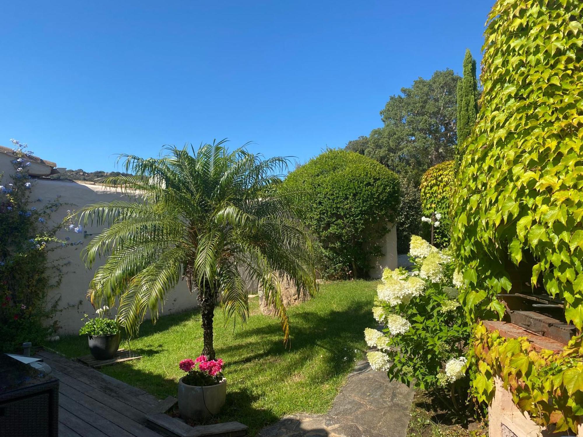 Appartement Marina Di Santa Giulia Porto-Vecchio  Eksteriør billede